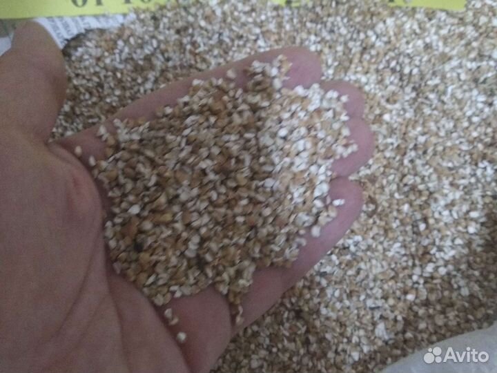 Кукуруза,горох кормовой,семечки,сечка гречневая