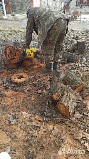 Чурбаки фрукт деревьев для мангала шашлыка
