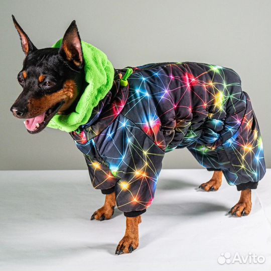 Комбинезон для собак