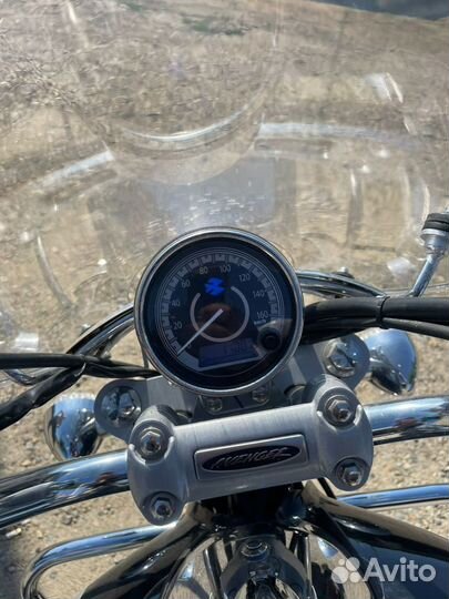 Bajaj Avenger Cruise