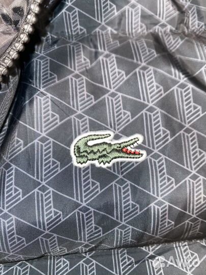 Lacoste пуховик мужской