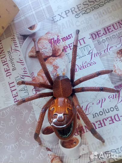 Шкатулка паук