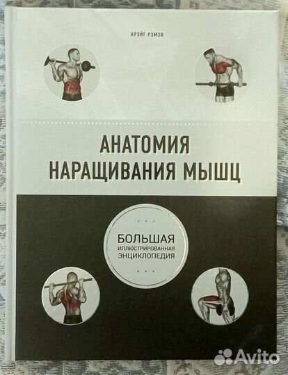 Анатомия фитнеса