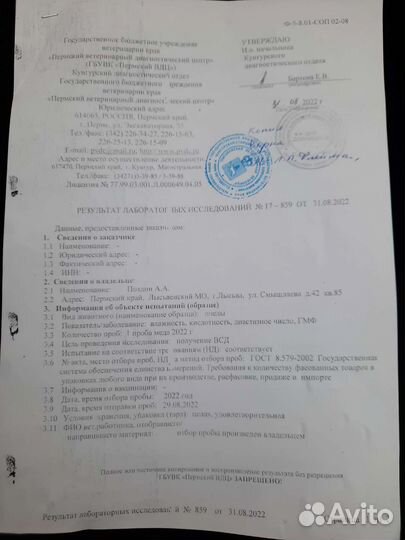 Мед натуральный 2023 года