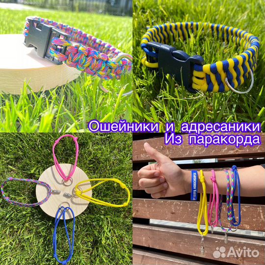 Ошейник из паракорда на заказ