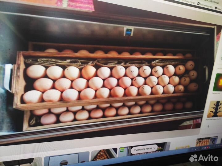 Дополнительный лоток для инкубатора