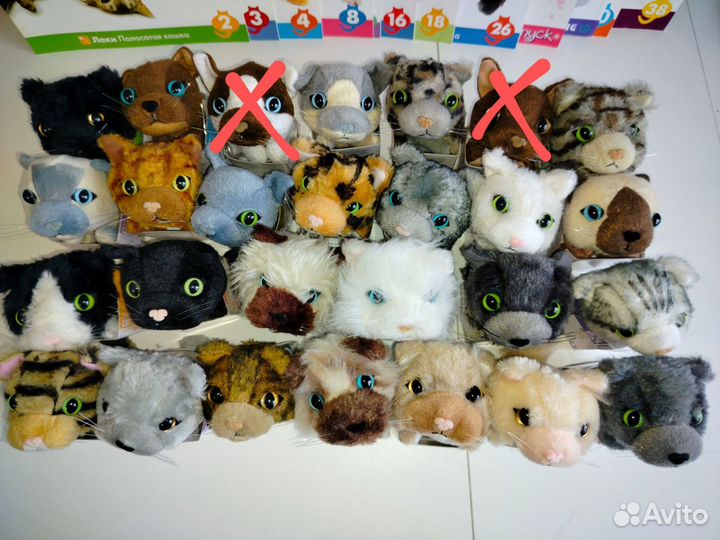 The cat collection, с журналами