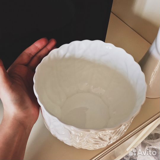 Большое кашпо с листьями папоротника Coalport Coun