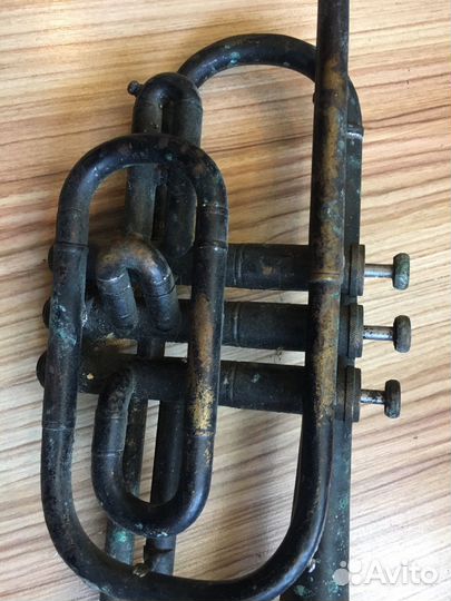 Корнет немецкий