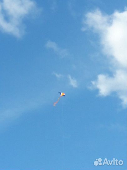 Воздушный змей Скат