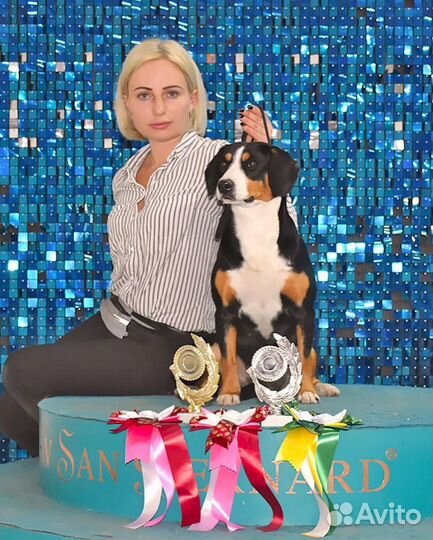 Услуги хендлера