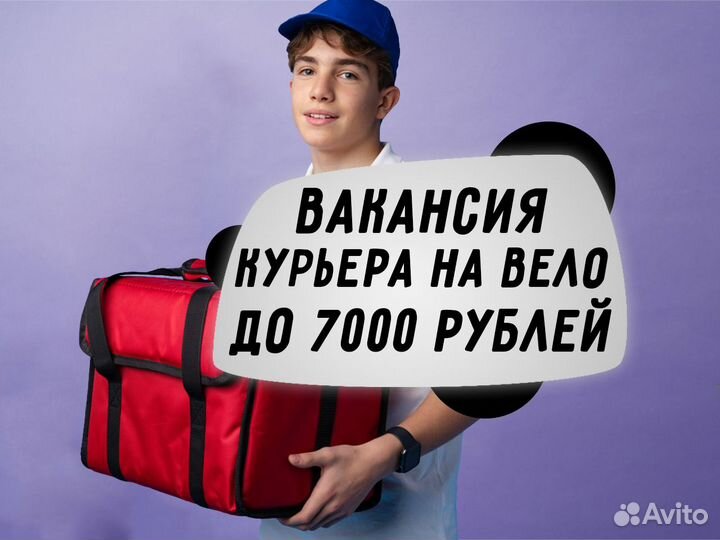 Работа велокурьером без опыта