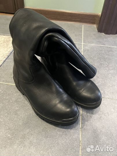 Сапоги демисезонные кожа женские 38