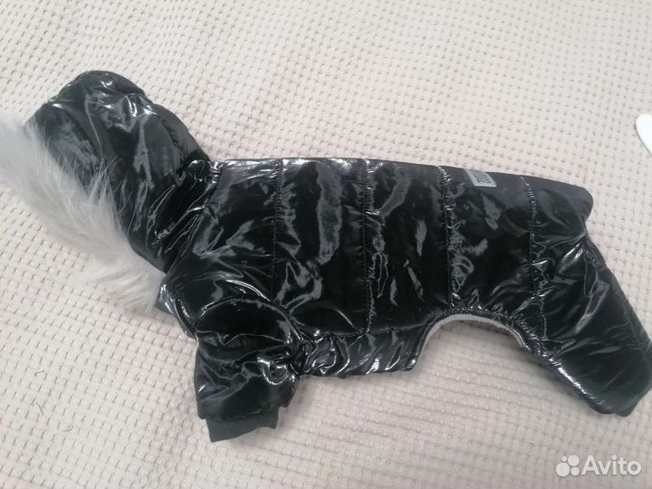 Одежда для маленьких собак новая