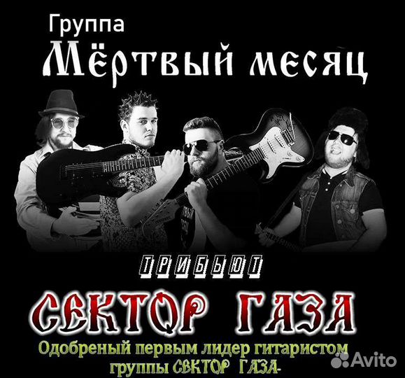 Кавер группа На новый год Сектор газа+хиты рока