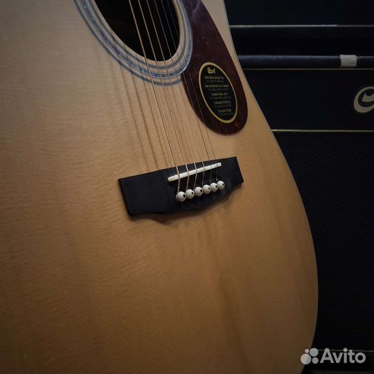 Cort earth100 Акустическая гитара (новая)