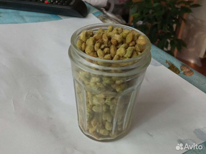 Триходерма вериде