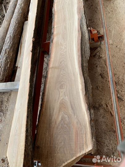 Слэб из дуба