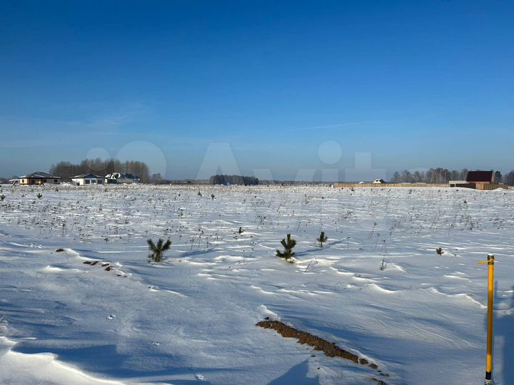 Участок 20 сот. (СНТ, ДНП)