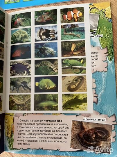 Детские книги энциклопедии