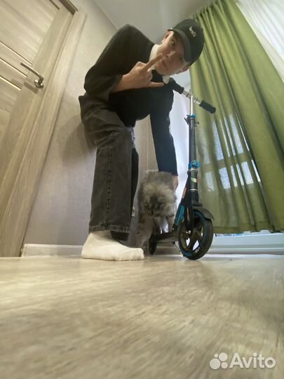 Самокат roces 175