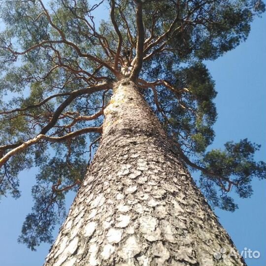 Подоконник деревянный