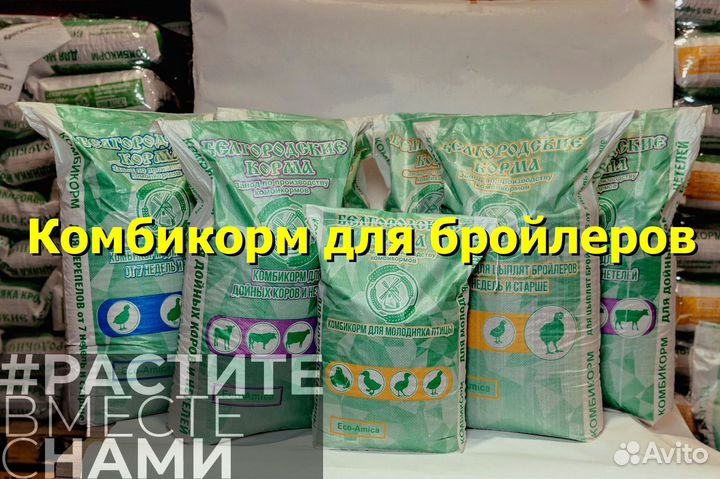 Комбикорм для бройлеров