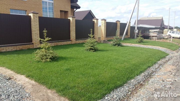 Газон рулонный’Эталон’ Татарстан