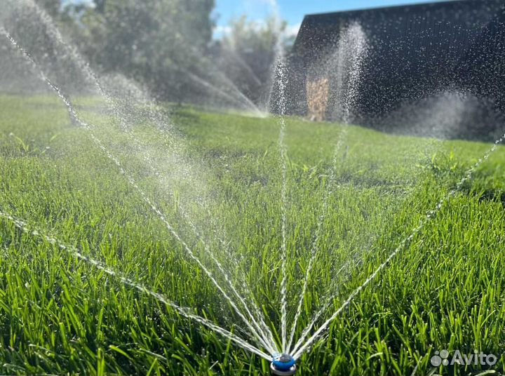 Рулонный газон