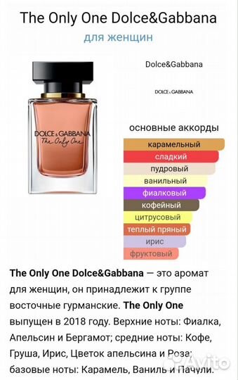 Dolce & gabbana the only one