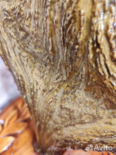 Рога лося на деревянном медальоне