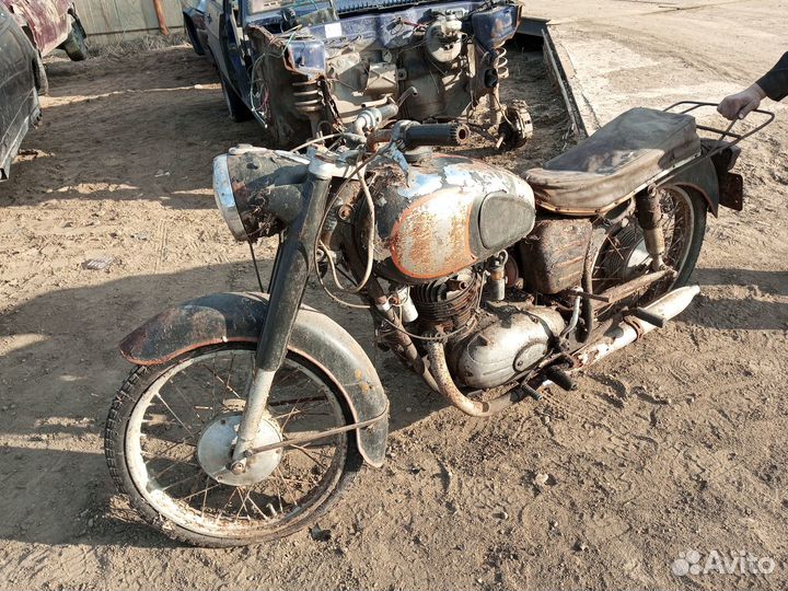 Паннония на органы