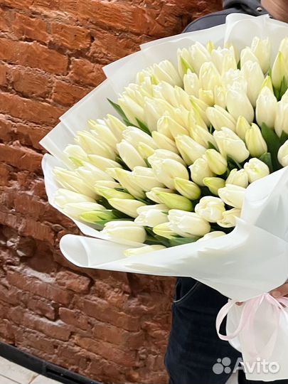 19, 51, 101 Тюльпан (Белые Тюльпаны) Букет