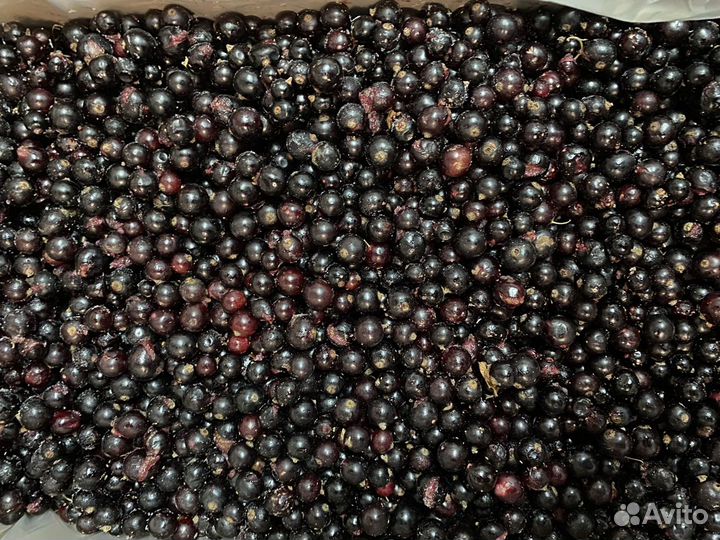 Черная смородина свежезамороженая