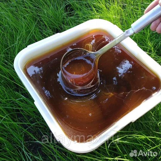 Мед дягилевый