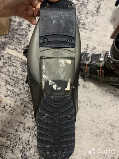 Ботинки для горных лыж