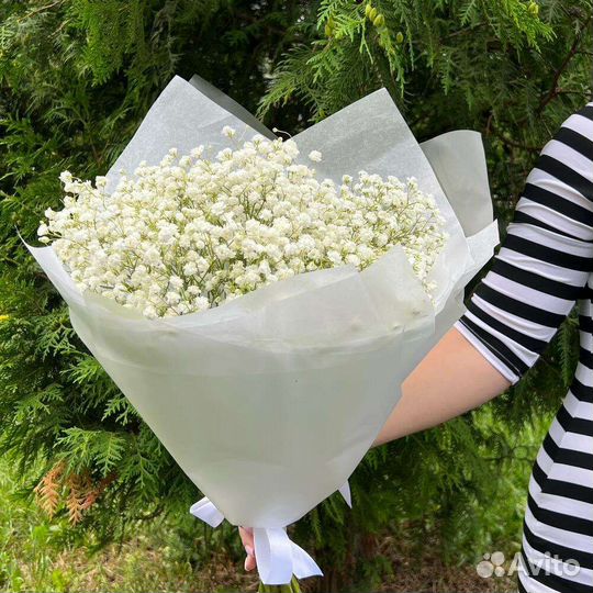 Гипсофила Букет из 11 веток