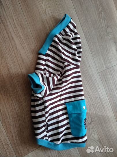 Комбинезон для маленькой собаки (для мальчика)