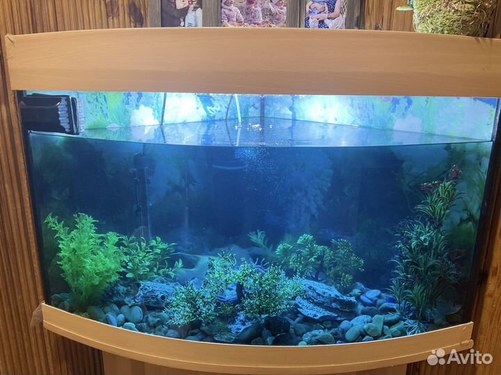 Аквариум