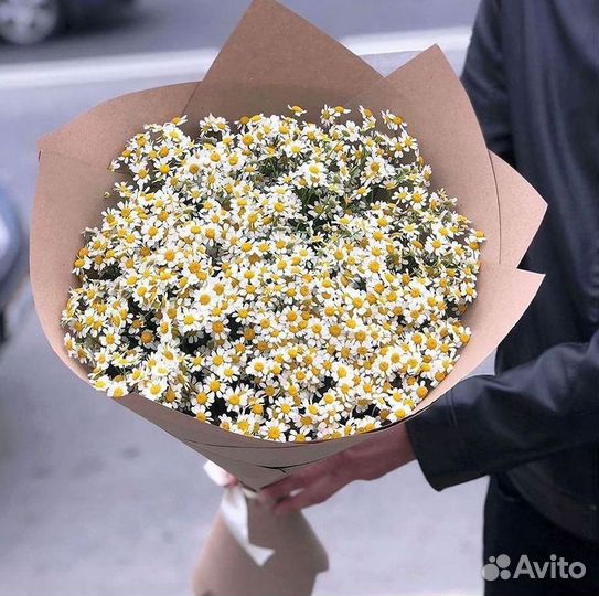 Ромашки Пионы Розы Доставка