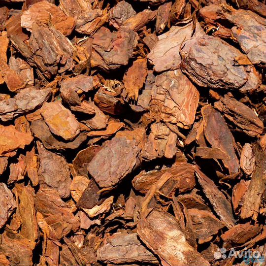 Кора сосновая от производителя оптом и в розницу
