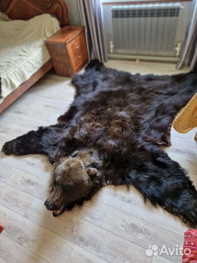 Имитация медведя