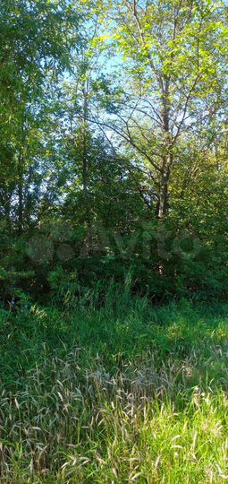 Участок 60 сот. (ИЖС)