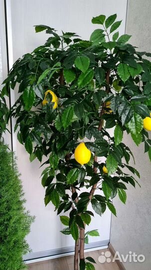 Искусственное дерево, лимон