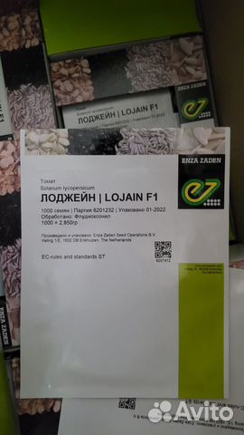 Семена Лоджейн