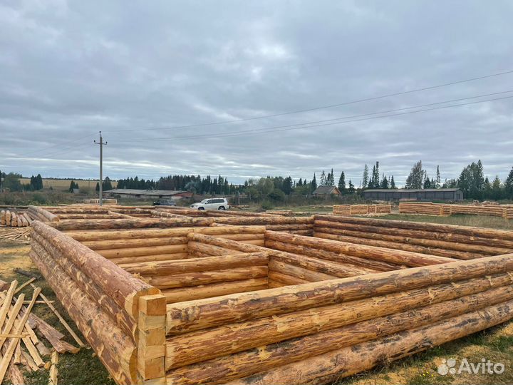 Зимнийсруб Кругляк Лес дома бани оцб Профбрус