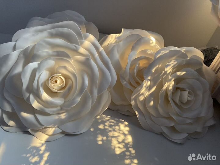 Ростовые цветы в аренду и продажа