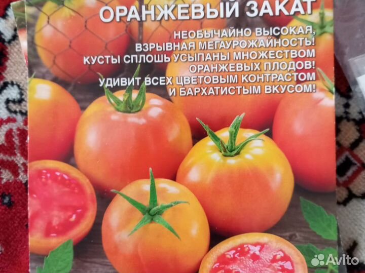 Рассада овощей