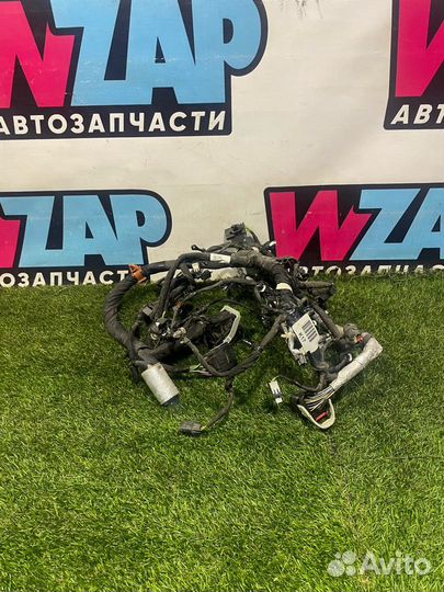 Проводка двигателя Ford Ranger 4 T6.2 2019