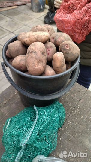 Продукты питания